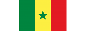 Logo Slum Dwellers International